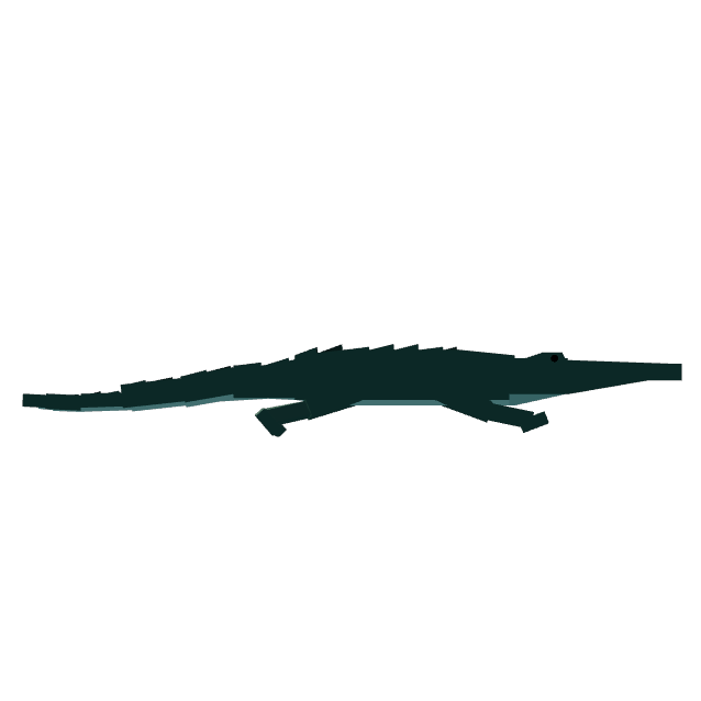 Alligator