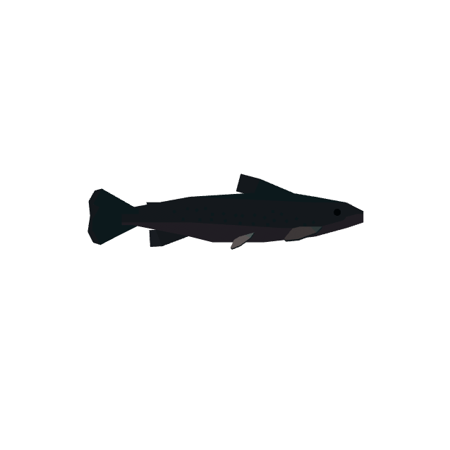 Arctic Char