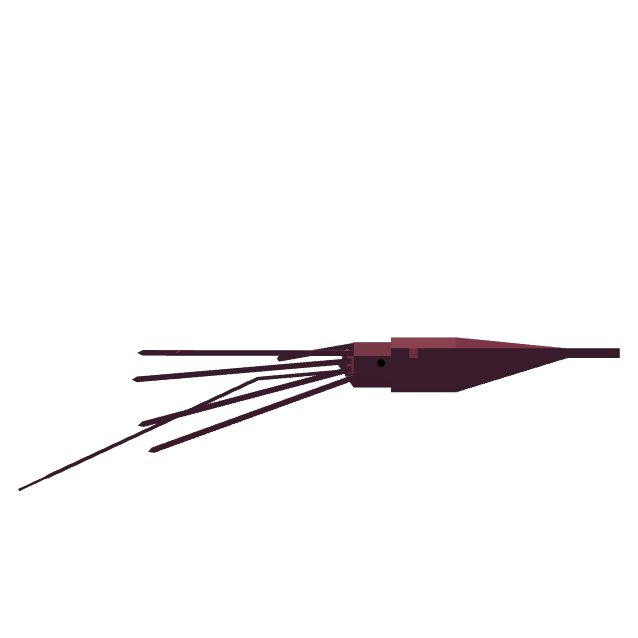 Colossal Squid