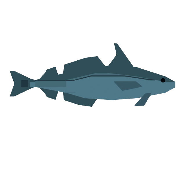 Haddock