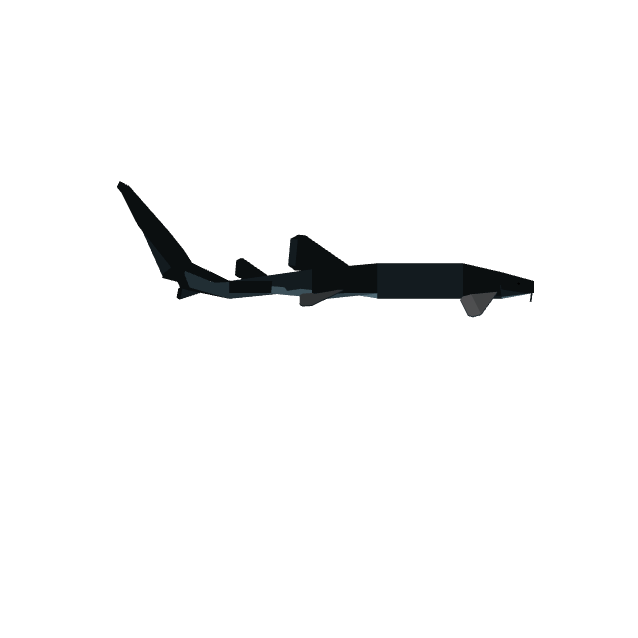 Nurse Shark