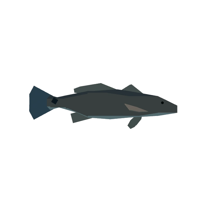 Red Drum
