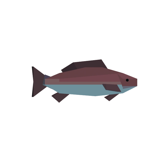 Red Snapper