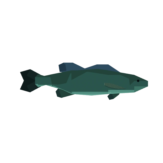 Smallmouth Bass