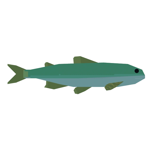 Sweetfish