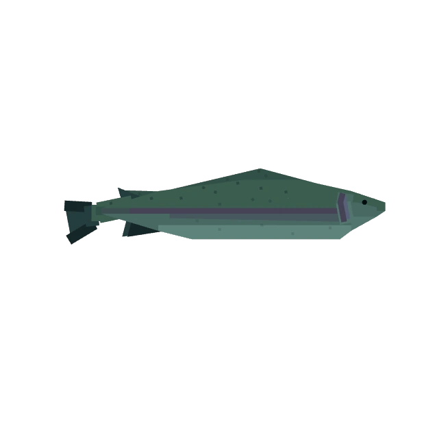 Mythical Fish